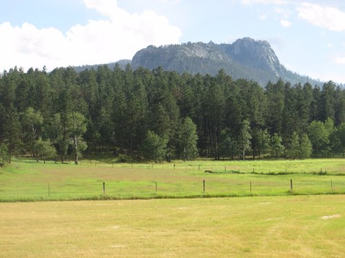 A lush green field with trees in the foreground and a rocky mountain in the background under a blue sky.