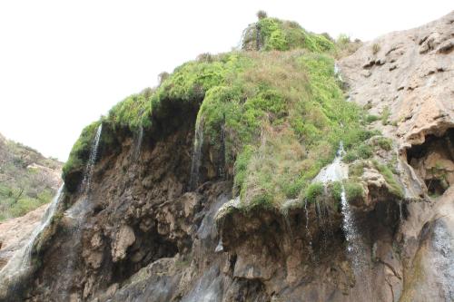 A rocky cliff covered in lush greenery, with small waterfalls cascading down the surface.