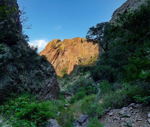 A rocky canyon with vibrant green vegetation and sunlight illuminating the cliffs under a clear blue sky.