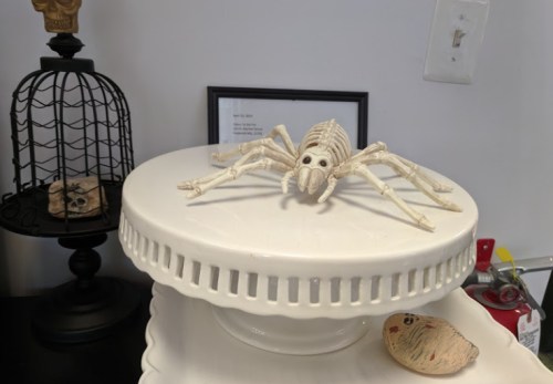 A decorative white cake stand with a skeleton spider on top, surrounded by a black cage and a shell.