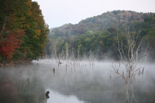 Misty lake surrounded by colorful trees and dead tree stumps, with a serene mountain backdrop.