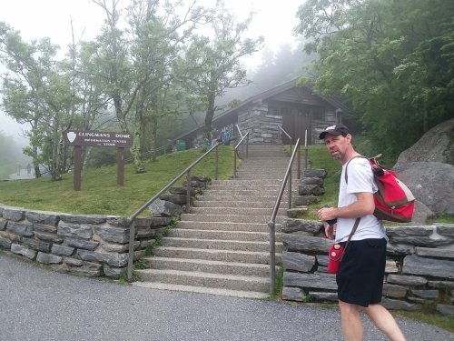 A man walks up stone steps toward a building in a foggy landscape, surrounded by trees and greenery.