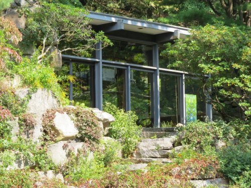 A modern glass building surrounded by lush greenery and rocks, blending harmoniously with the natural landscape.