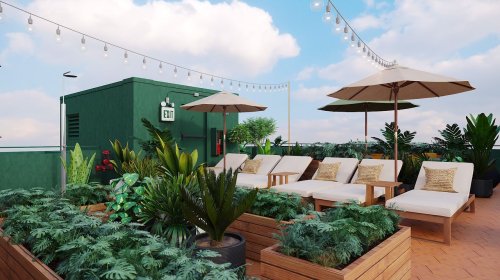 Rooftop terrace with lounge chairs, umbrellas, and lush greenery under a blue sky with decorative string lights.