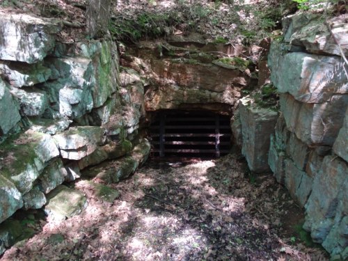 A rocky entrance to a cave or mine, surrounded by greenery and fallen leaves, with a metal grate at the opening.