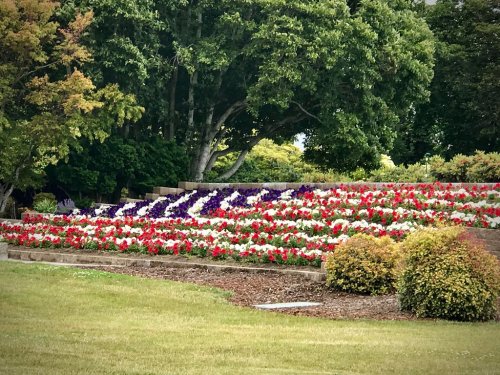 A vibrant flower bed with red, white, and purple blooms arranged in a decorative pattern, surrounded by greenery.