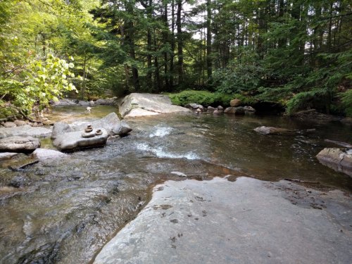 A serene stream flows over smooth rocks, surrounded by lush green trees in a peaceful forest setting.