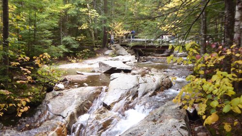 A serene forest scene with a flowing stream, rocky banks, and colorful autumn foliage. A wooden bridge is in the background.
