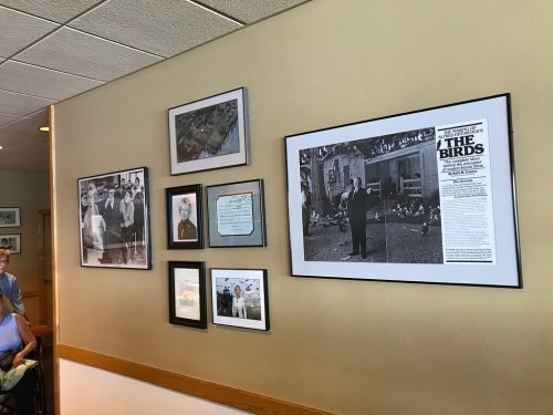 A wall display featuring framed photos and a poster related to the film "The Birds."