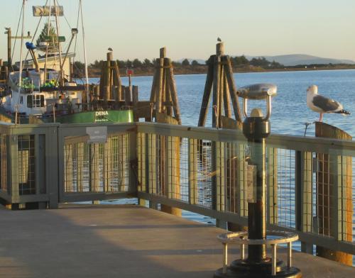A peaceful pier scene with a fishing boat, a seagull on a post, and calm water reflecting the sunset.