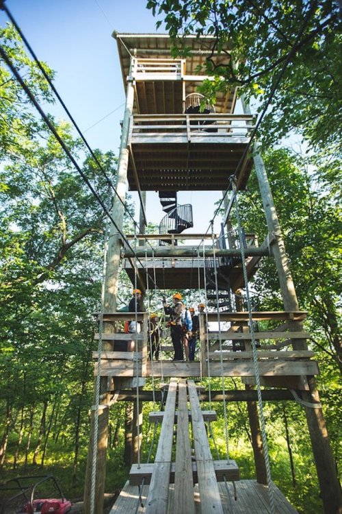 A wooden zipline tower surrounded by trees, with people preparing for a zipline adventure.