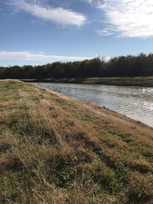 A serene riverbank with tall grass and trees lining the water under a clear blue sky.
