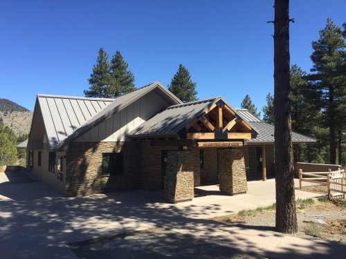 A modern building with a stone facade and metal roof, surrounded by tall pine trees and a clear blue sky.