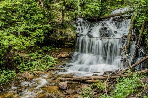 A serene waterfall cascades over rocks, surrounded by lush green foliage and trees in a tranquil forest setting.