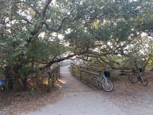 A wooden bridge surrounded by trees, with a bicycle parked nearby on a gravel path.