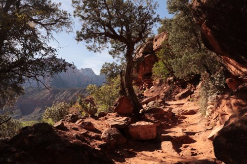 A winding dirt trail surrounded by trees and rocky terrain, leading into a scenic canyon landscape.