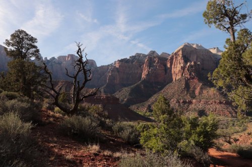 A scenic view of rugged mountains and trees under a blue sky, showcasing the natural beauty of a desert landscape.