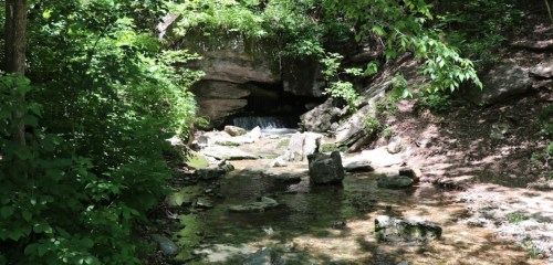 A serene stream flows through a lush, green forest, with rocks and a small waterfall in the background.