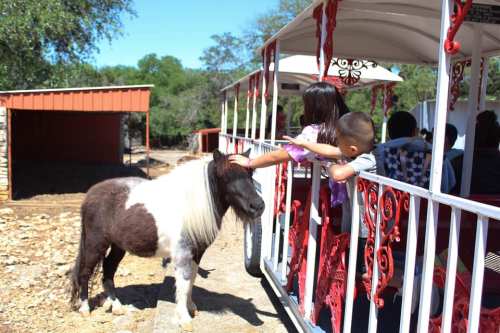 A pony stands beside a train as children reach out to pet it, with a barn in the background.