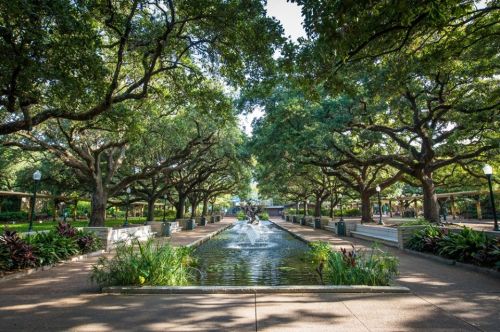 A serene park scene featuring a central water fountain surrounded by lush trees and landscaped pathways.