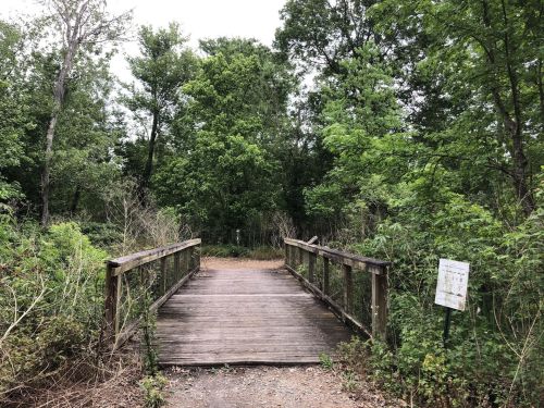 A wooden bridge leads into a lush, green forest with dense trees and foliage surrounding the path.
