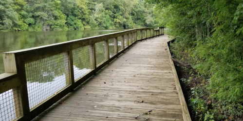 A wooden boardwalk curves along a serene river, surrounded by lush green trees and foliage.