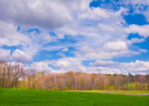 A vibrant green field under a blue sky filled with fluffy white clouds and a backdrop of trees.