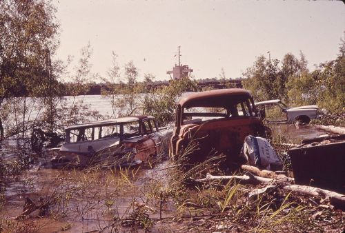 Abandoned cars partially submerged in water, surrounded by vegetation, with a ship in the background.