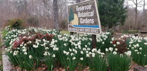Sign for Reservoir Botanical Gardens surrounded by blooming white flowers and green foliage. Trees in the background.