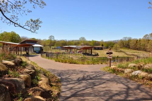 A scenic pathway leads to a nature area with buildings and visitors, surrounded by greenery and blue skies.