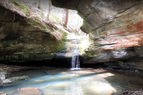 A serene rocky alcove with a small waterfall cascading into a clear pool, surrounded by lush greenery and sunlight.
