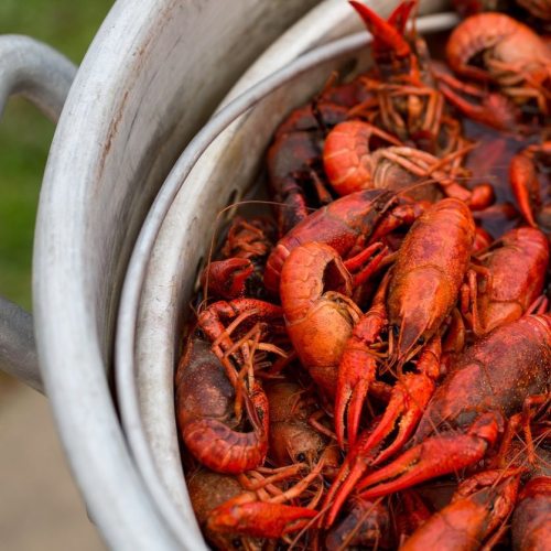 A close-up of a pot filled with vibrant red crawfish, ready for a seafood feast.