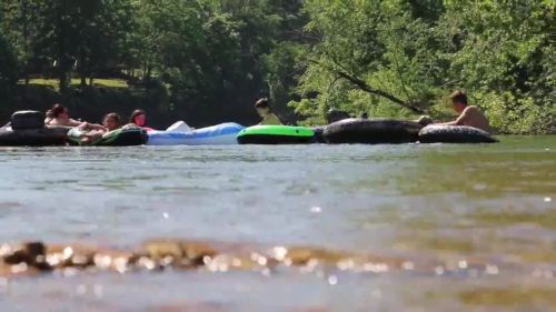 People floating on inner tubes in a river surrounded by trees on a sunny day.