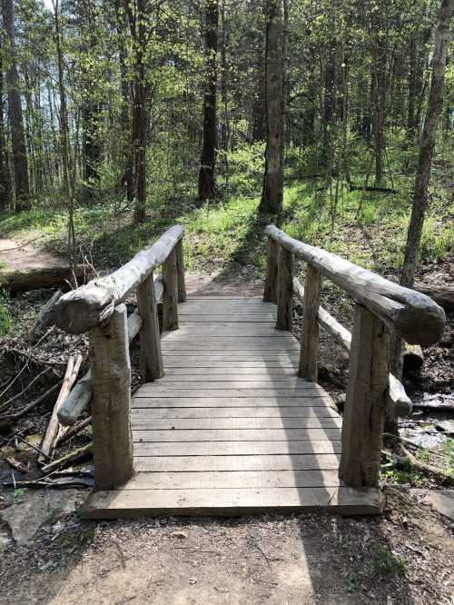 A wooden bridge spans a small creek in a lush, green forest with sunlight filtering through the trees.