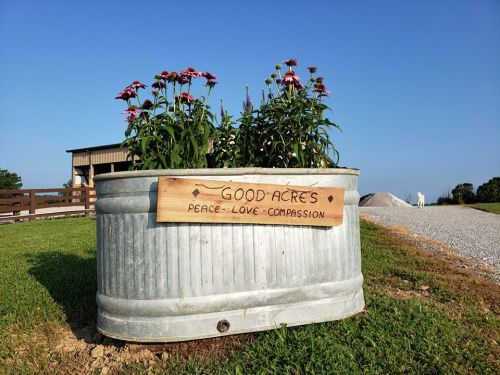 A metal planter with flowers and a wooden sign reading "Good Acres - Peace - Love - Compassion" in a sunny outdoor setting.