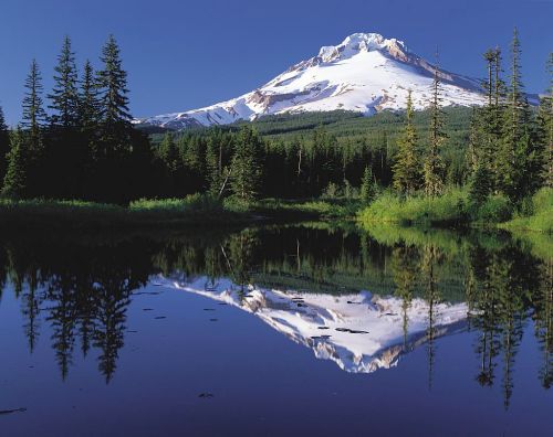 Snow-capped mountain reflected in a calm lake, surrounded by lush green trees under a clear blue sky.