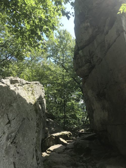 A narrow passage between large rocks, surrounded by trees and sunlight filtering through the leaves.