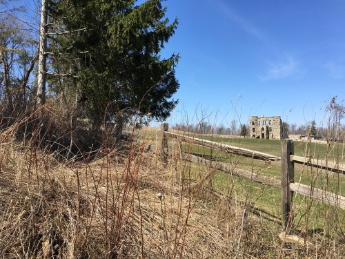 A grassy field with a rustic wooden fence, a tall tree, and a stone building in the distance under a clear blue sky.