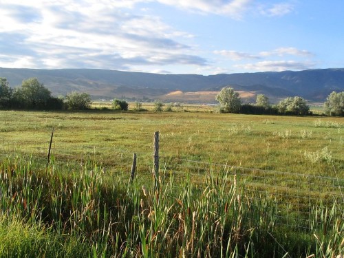 A serene landscape featuring a grassy field, distant mountains, and scattered trees under a partly cloudy sky.