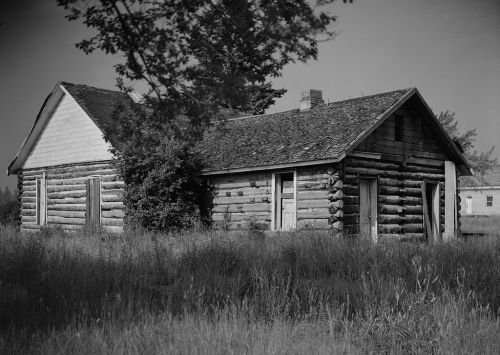 A weathered log cabin surrounded by tall grass, with a tree partially obscuring the view.