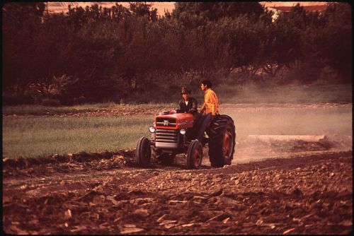 Two people riding on a red tractor in a field, with dust rising and trees in the background.