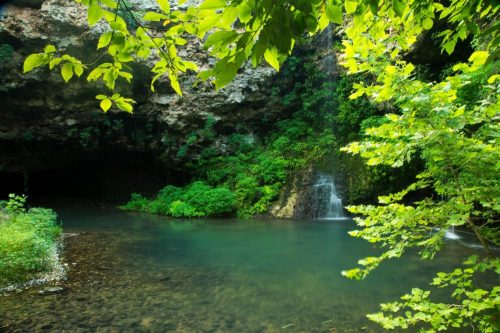 A serene cave entrance with lush greenery and a small waterfall flowing into a tranquil pool of water.