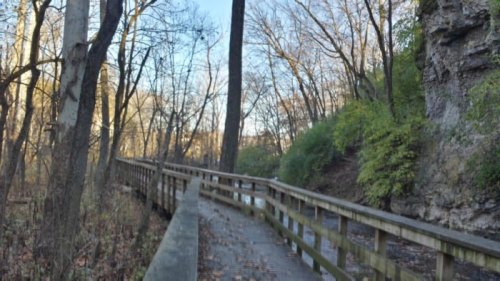 A wooden boardwalk winds through a wooded area with trees and rocky cliffs under a clear blue sky.