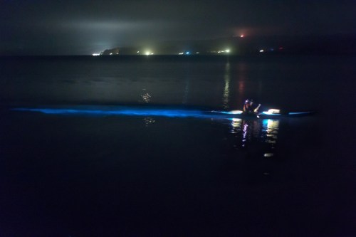 A kayaker paddles in dark waters, leaving a glowing blue trail, with distant lights visible on the shore.