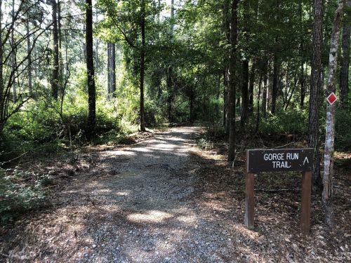 A gravel path leads into a wooded area, with a sign marking the Gorge Run Trail on the right. Sunlight filters through the trees.