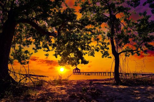 A vibrant sunset over a pier, framed by trees, casting warm colors across the sky and reflecting on the water.