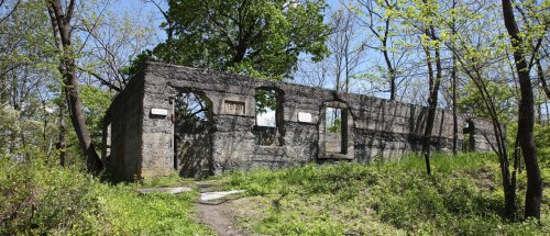 Ruins of a stone building surrounded by trees and greenery, with a clear blue sky above.
