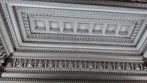 Intricate silver ceiling design featuring ornate patterns and decorative elements.