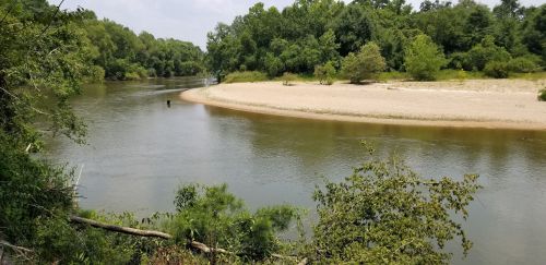 A serene river scene with a sandy bank, surrounded by lush green trees under a partly cloudy sky.
