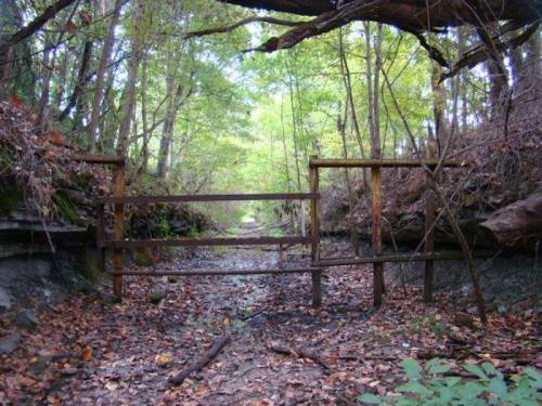 A wooden gate stands at the end of a dry, overgrown path surrounded by trees and fallen leaves.